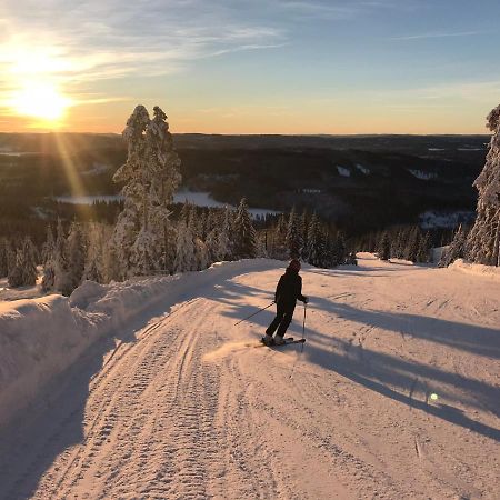 Raemsbyns Fritidsomrade - Den Perfekta Platsen Foer Avkoppling Idkerberget Exterior foto